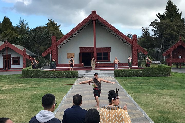 Rotorua Geothermal Wonderland Tour - Departs Tauranga - Photo 1 of 11